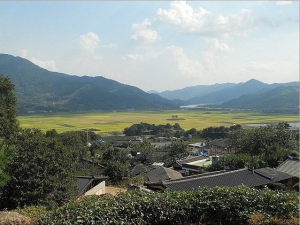 20140923_093726.jpg